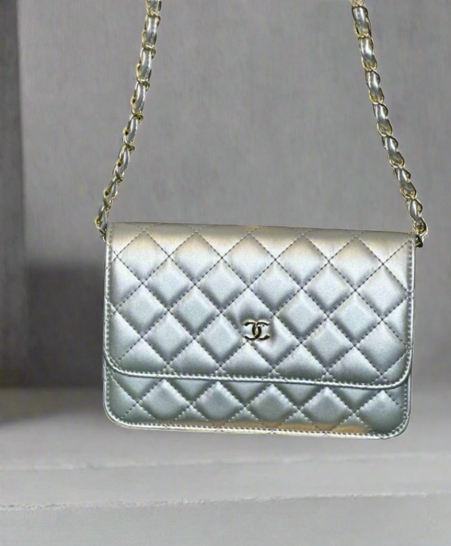 C Silver Wallet On Chain